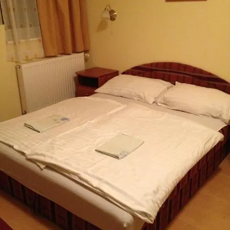 Zatonyi Csarda Panzio *