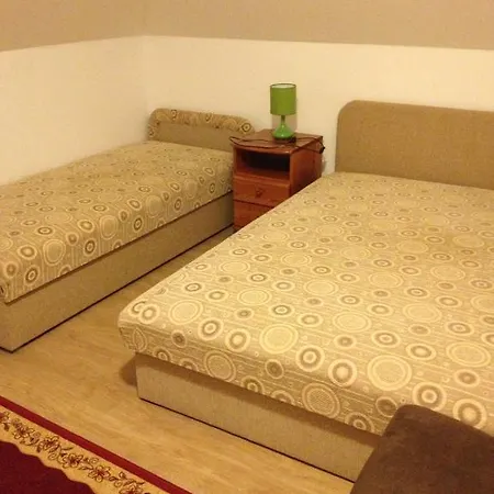 Bed and breakfast Zatonyi Csarda Panzio Dunasziget